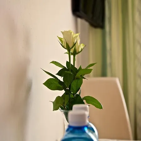 Gasthof Franz Von Assisi * Anif